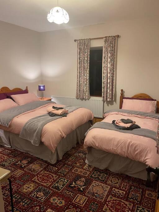 סליגו Grogagh Hill Cottage מראה חיצוני תמונה